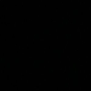 Meet your Posher, Geula